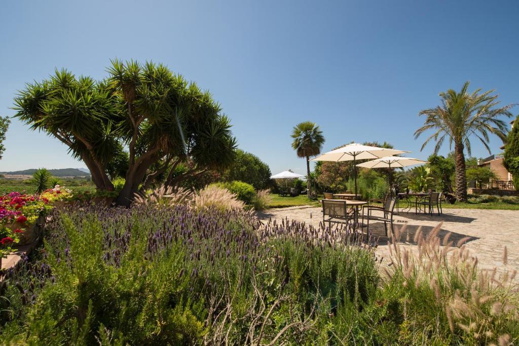 Agroturismo Can Feliu Porreres Eksteriør billede
